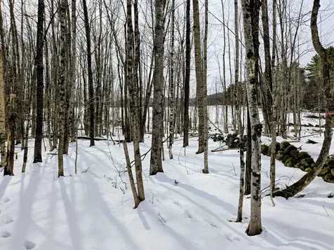 Lot 26 Canton Mountain Road Jay ME 04239
