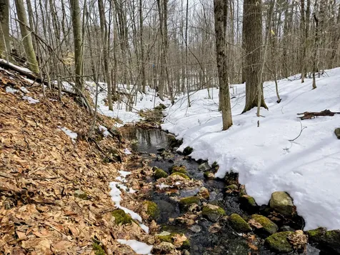 Lot 26 Canton Mountain Road Jay ME 04239