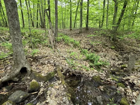 Lot 26 Canton Mountain Road Jay ME 04239