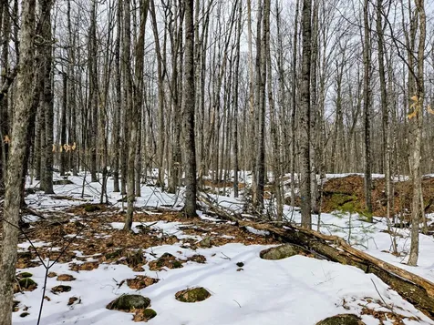Lot 26 Canton Mountain Road Jay ME 04239