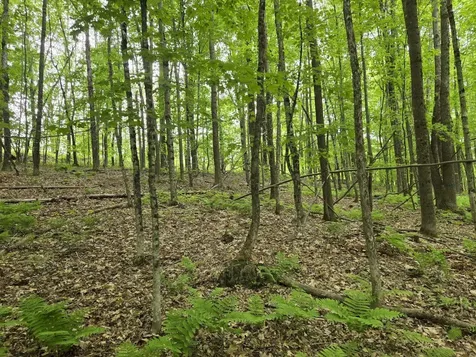 Lot 26 Canton Mountain Road Jay ME 04239