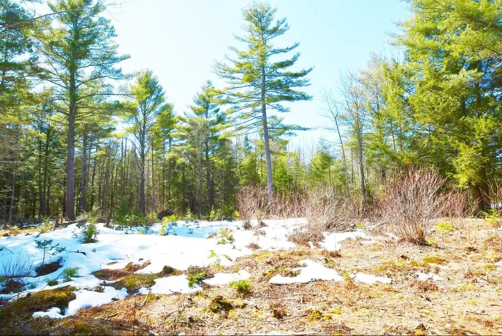 Lot 032/6a Mayflower Lane Lebanon ME 04027