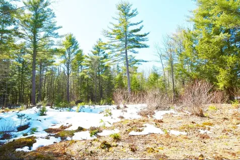 Lot 032/6a Mayflower Lane Lebanon ME 04027