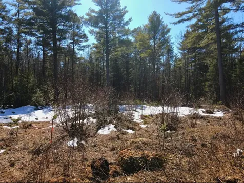 Lot 032/6a Mayflower Lane Lebanon ME 04027
