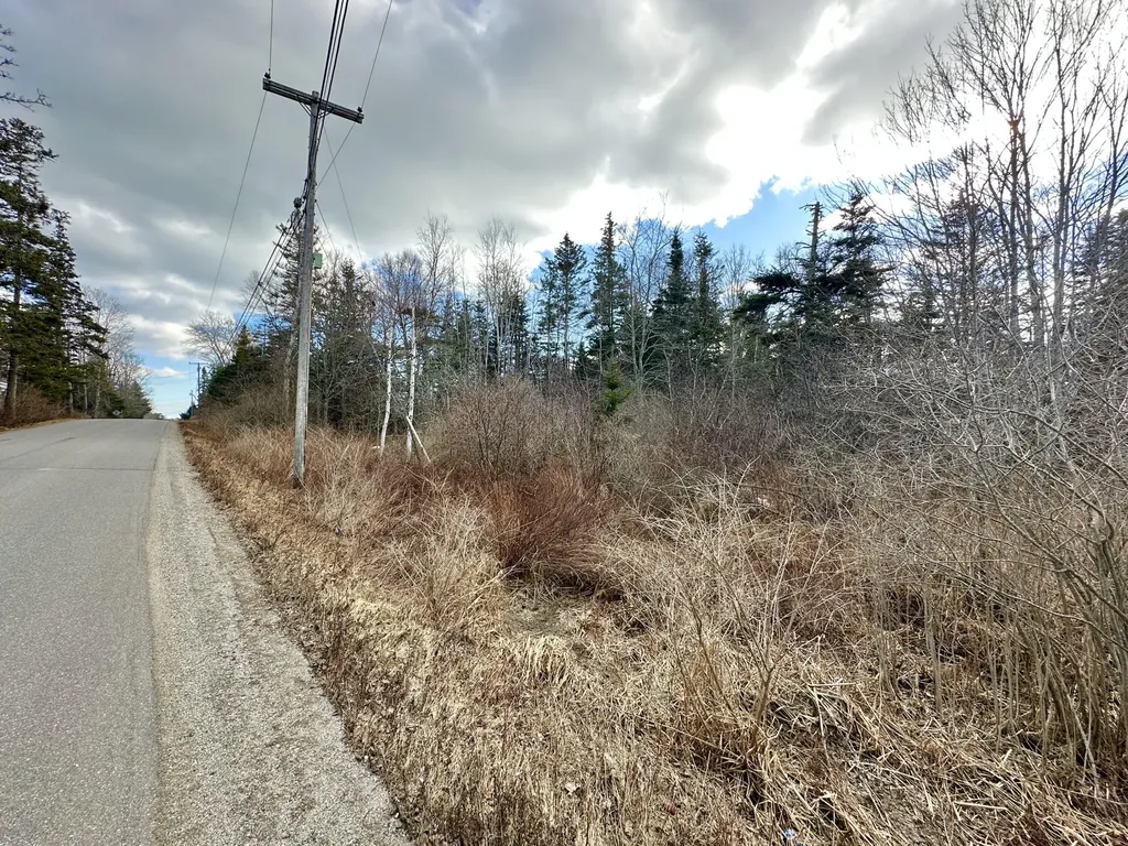 Lot #10 Ridge Road Saint George ME 04860