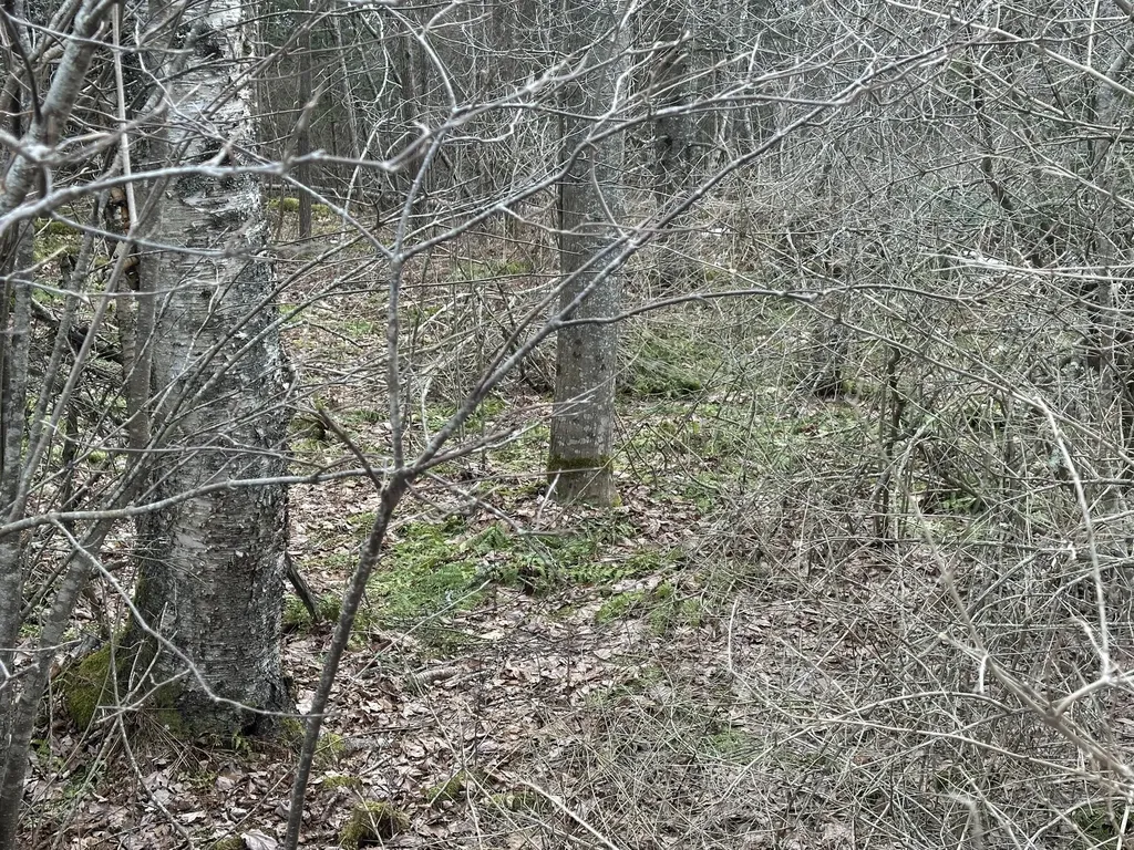 Lot #10 Ridge Road Saint George ME 04860