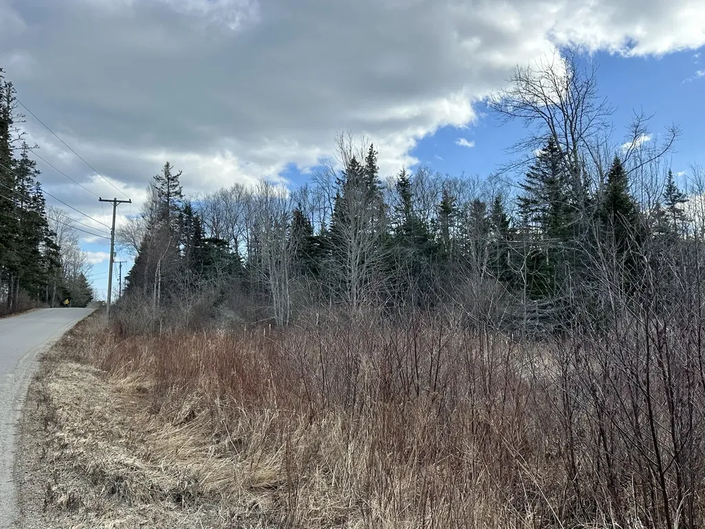 Lot #10 Ridge Road Saint George ME 04860