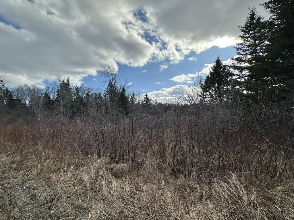 Lot #10 Ridge Road Saint George ME 04860
