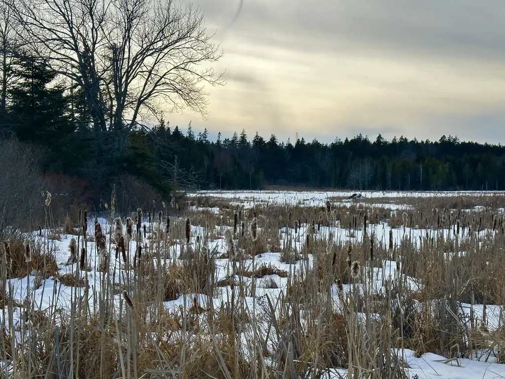 Lot #10 Ridge Road Saint George ME 04860