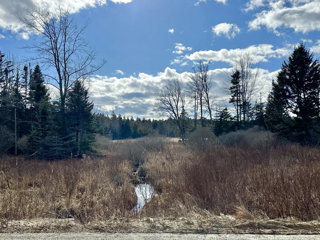Lot #10 Ridge Road Saint George ME 04860