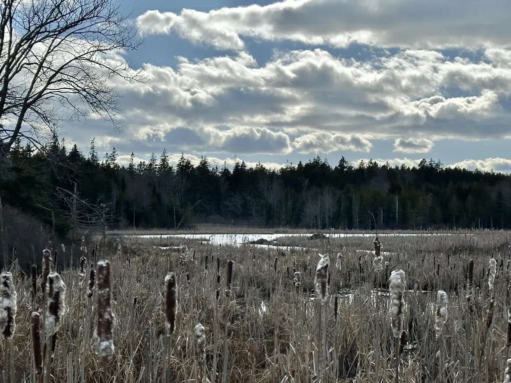 Lot #10 Ridge Road Saint George ME 04860