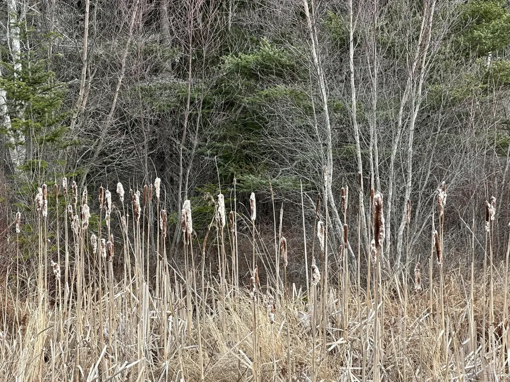 Lot #10 Ridge Road Saint George ME 04860