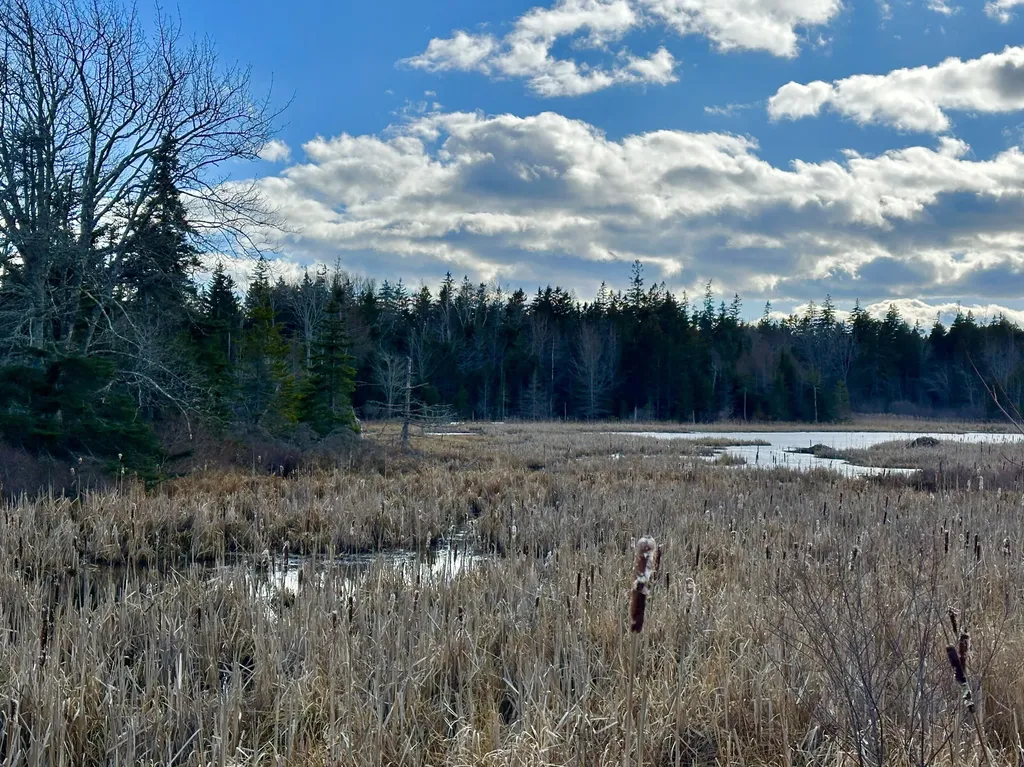 Lot #10 Ridge Road Saint George ME 04860
