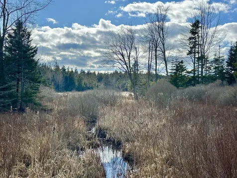 Lot #10 Ridge Road Saint George ME 04860