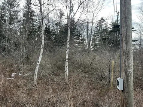 Lot #10 Ridge Road Saint George ME 04860