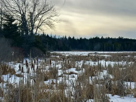 Lot #10 Ridge Road Saint George ME 04860