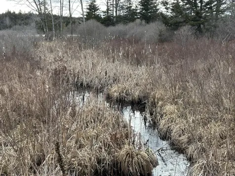 Lot #10 Ridge Road Saint George ME 04860