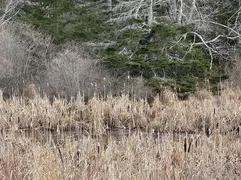 Lot #10 Ridge Road Saint George ME 04860