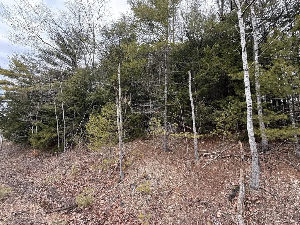 M43 L6 Shady Nook Road Newfield ME 04095