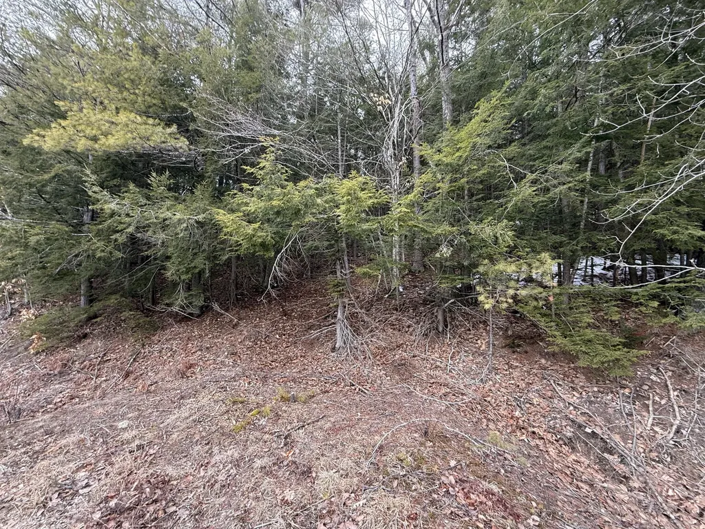 M43 L6 Shady Nook Road Newfield ME 04095