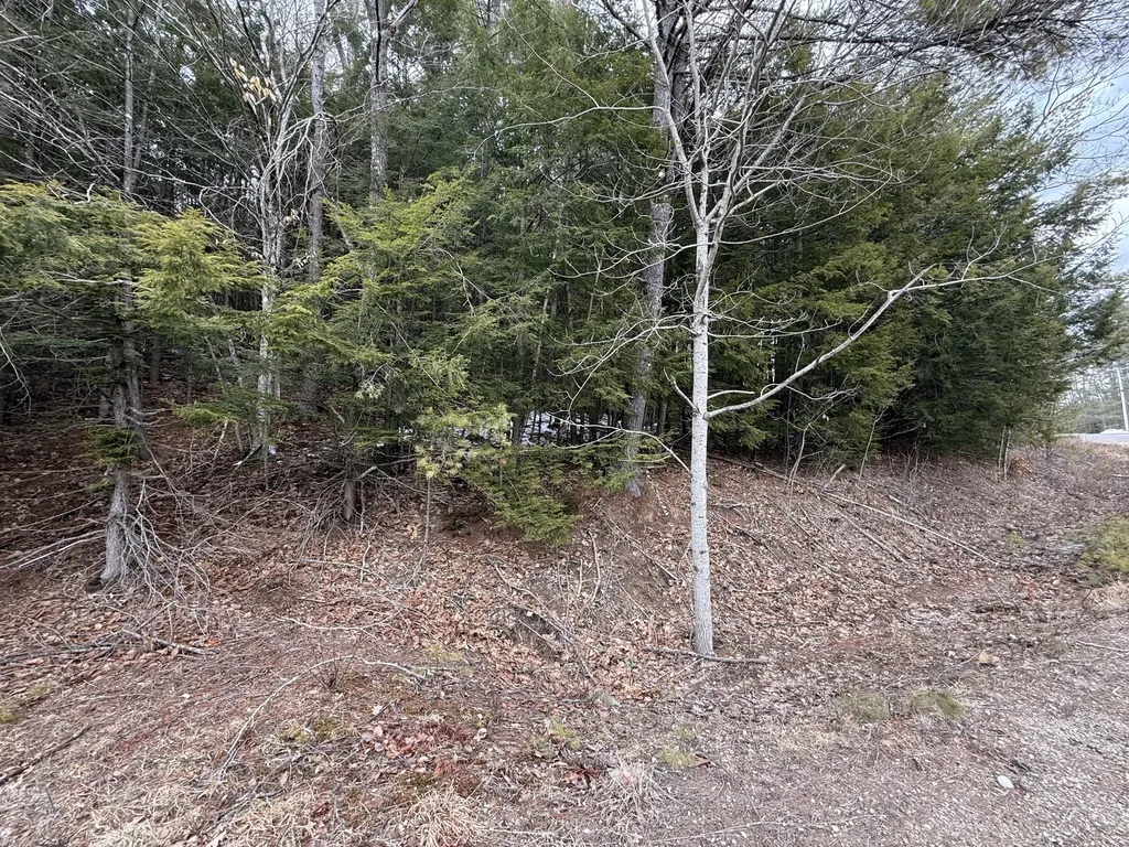 M43 L6 Shady Nook Road Newfield ME 04095