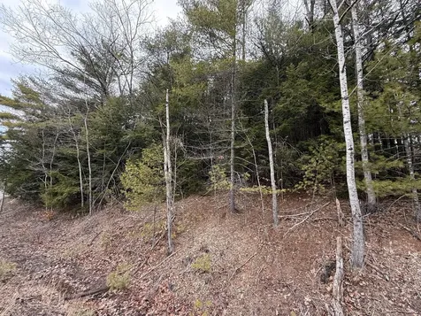 M43 L6 Shady Nook Road Newfield ME 04095