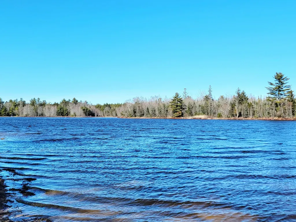 200 Tannery Brook Road Mariaville ME 04605