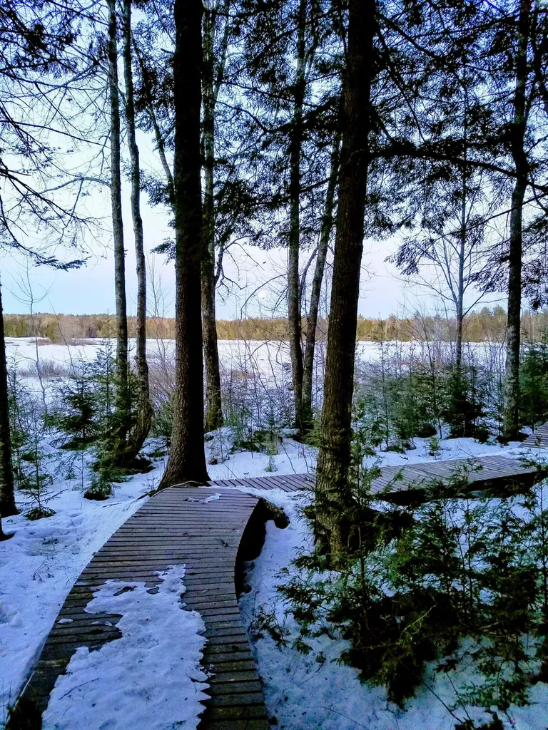 95 Silsby Road Mariaville ME 04605