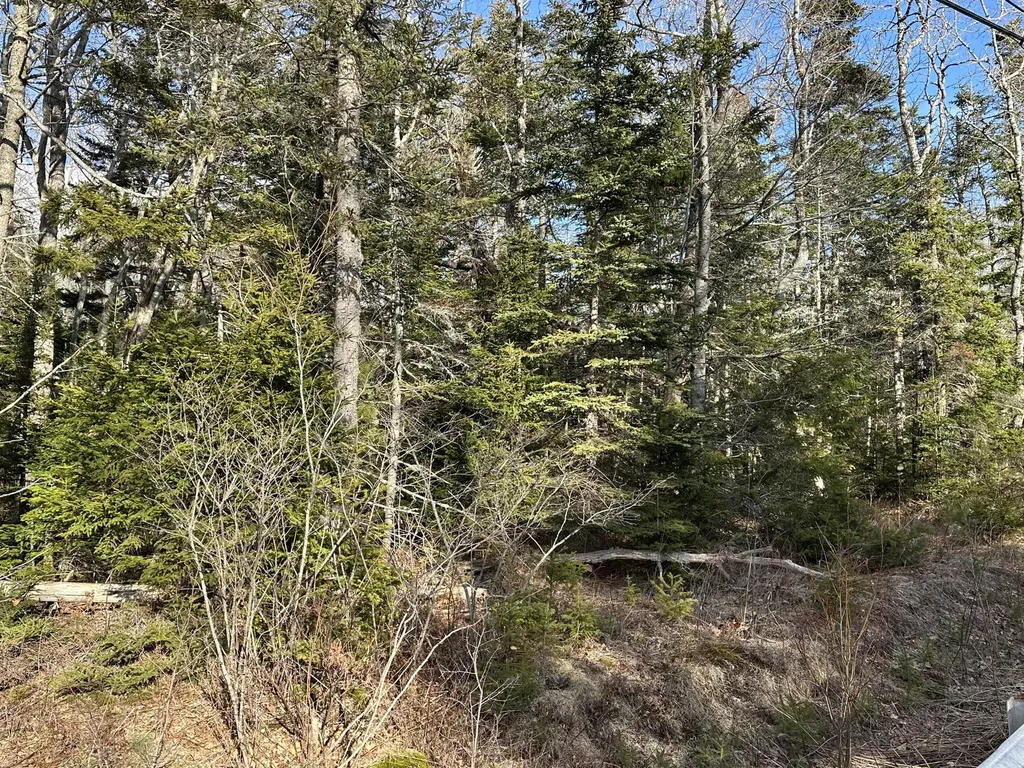 50 Cline Road Saint George ME 04859
