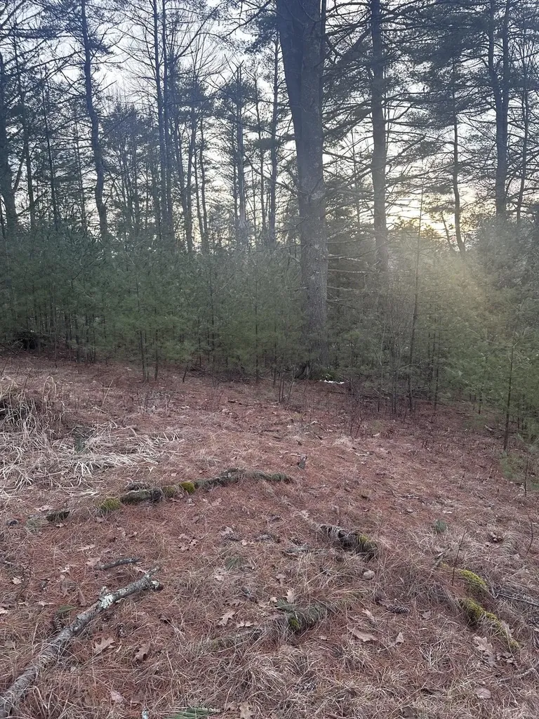 Tbd Heath Road Saco ME 04072