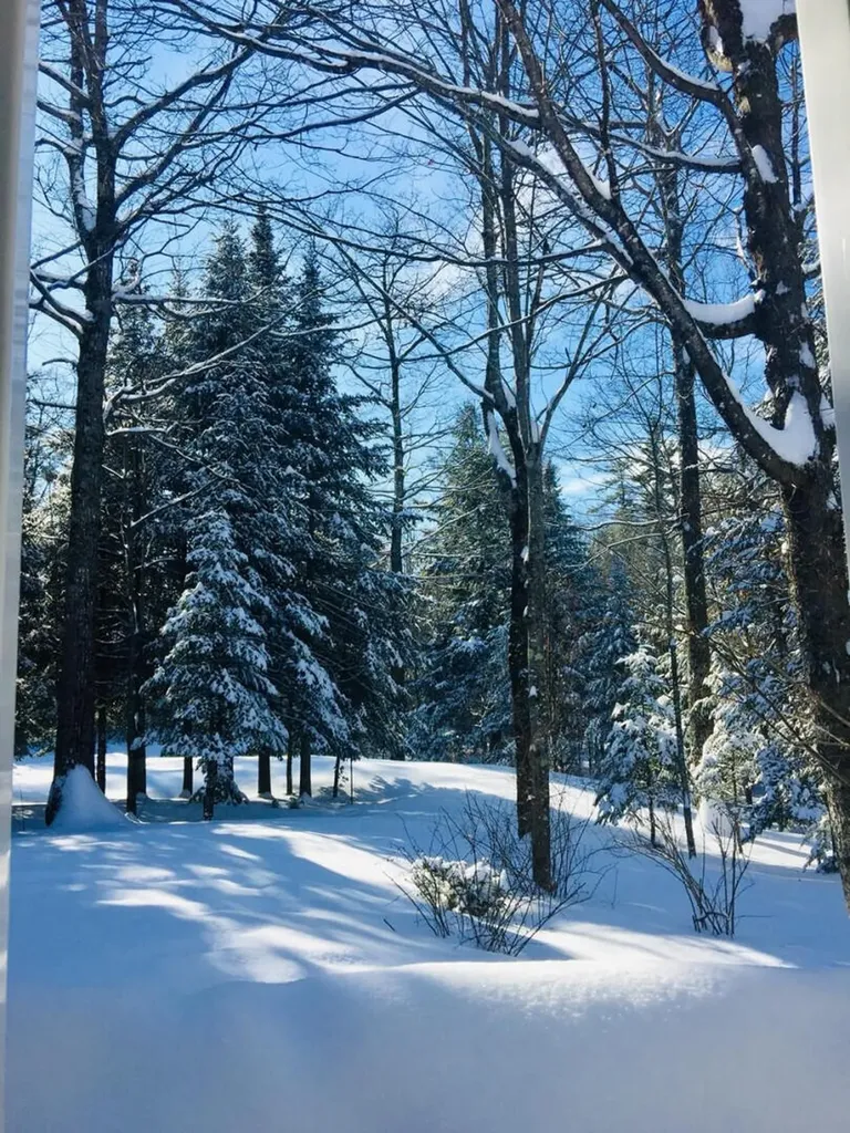 281 Tower Road Vienna ME 04360