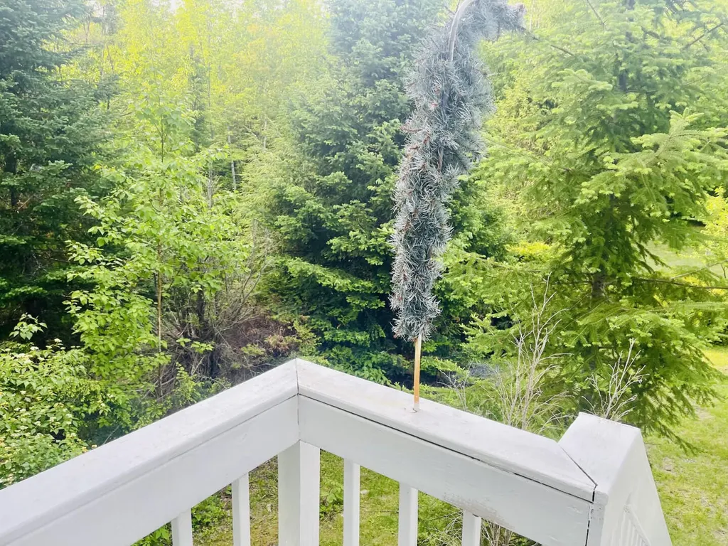 281 Tower Road Vienna ME 04360