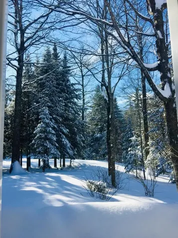 281 Tower Road Vienna ME 04360