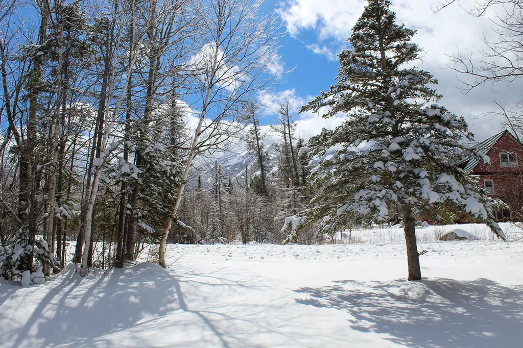 400 Snowflower Court Carrabassett Valley ME 04947
