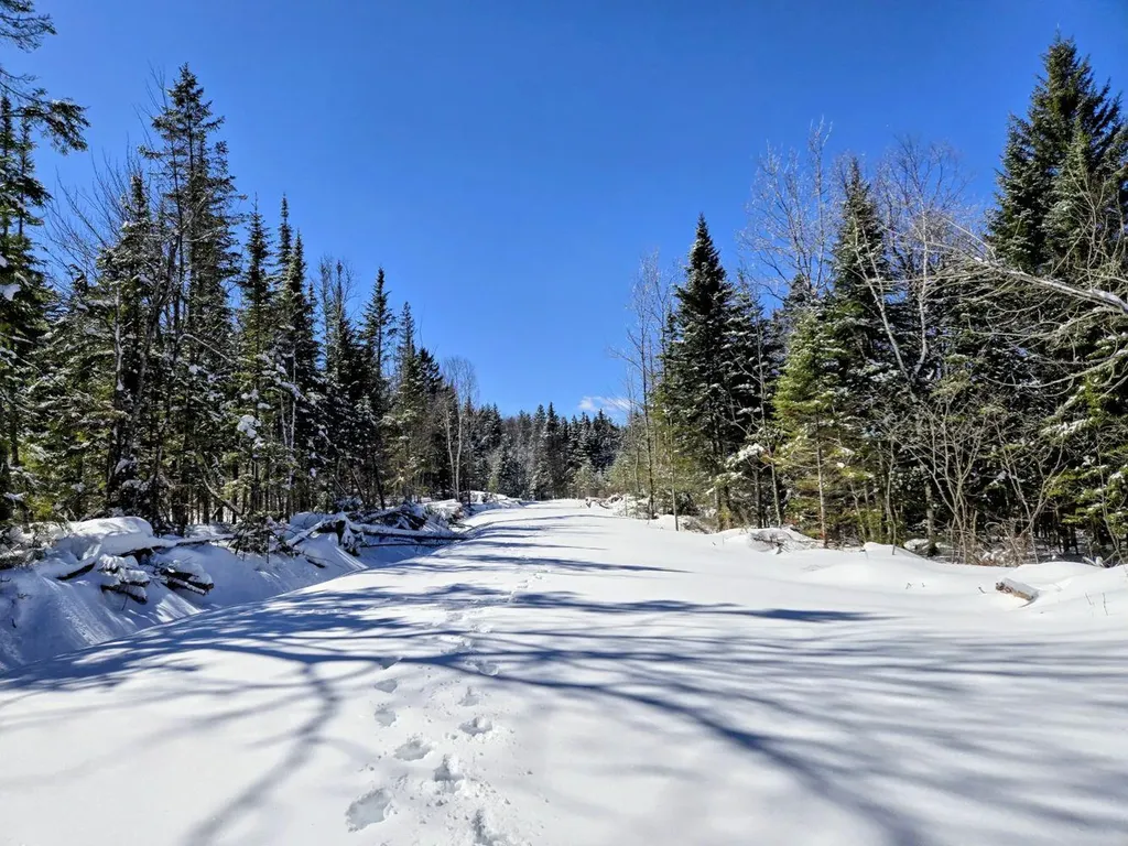 Lot 1 Main Street Sandy River Plt ME 04970