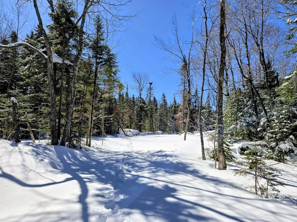 Lot 1 Main Street Sandy River Plt ME 04970