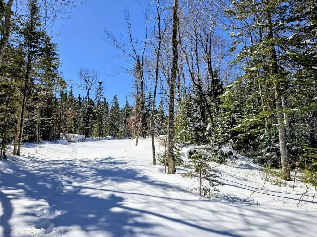 Lot 1 Main Street Sandy River Plt ME 04970