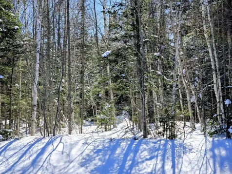 Lot 1 Main Street Sandy River Plt ME 04970