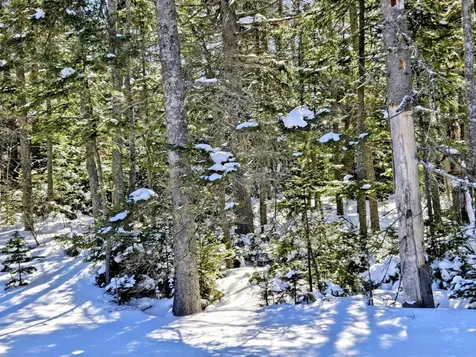 Lot 1 Main Street Sandy River Plt ME 04970