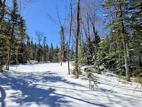 Lot 1 Main Street Sandy River Plt ME 04970