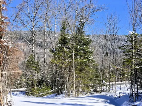Lot 1 Main Street Sandy River Plt ME 04970