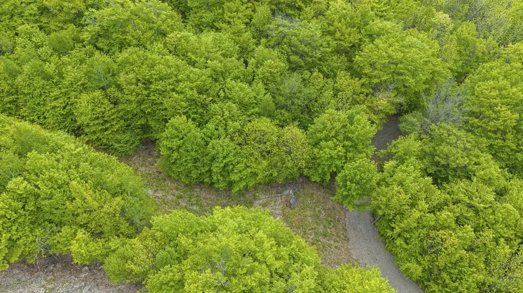 Lot 01-63 Ira Mountain Road Kingfield ME 04947
