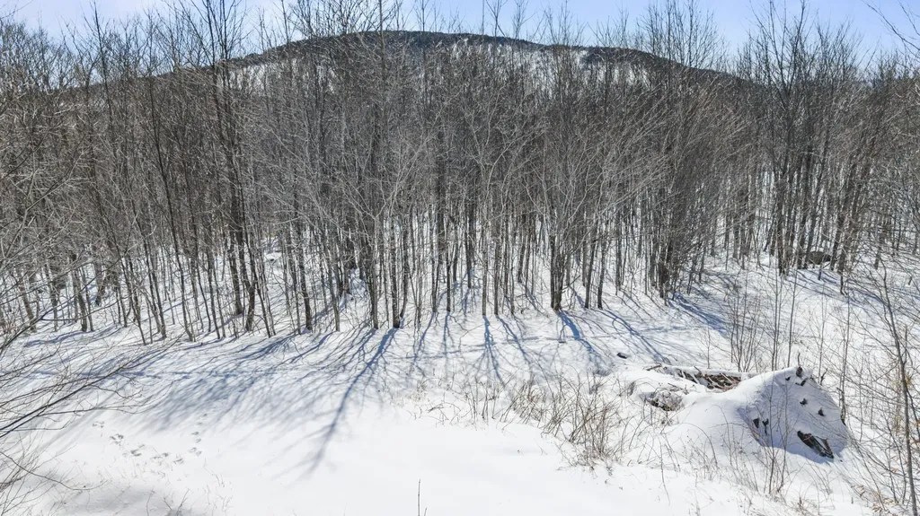 Lot 01-63 Ira Mountain Road Kingfield ME 04947