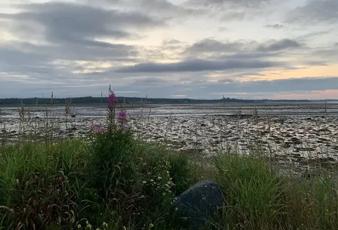 6 Cecelias Way Lubec ME 04652