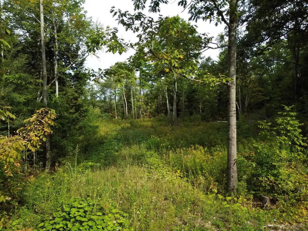 Lot 75-76 Bassett Road Winslow ME 04901