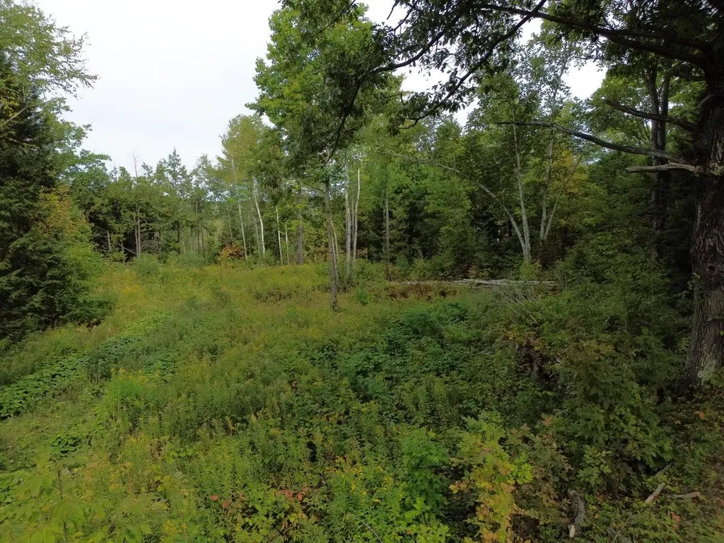 Lot 75-76 Bassett Road Winslow ME 04901