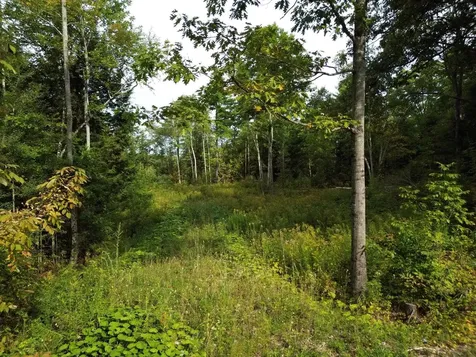 Lot 75-76 Bassett Road Winslow ME 04901