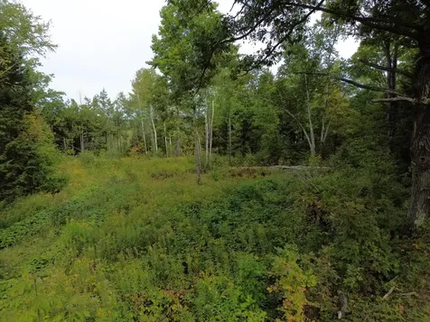 Lot 75-76 Bassett Road Winslow ME 04901