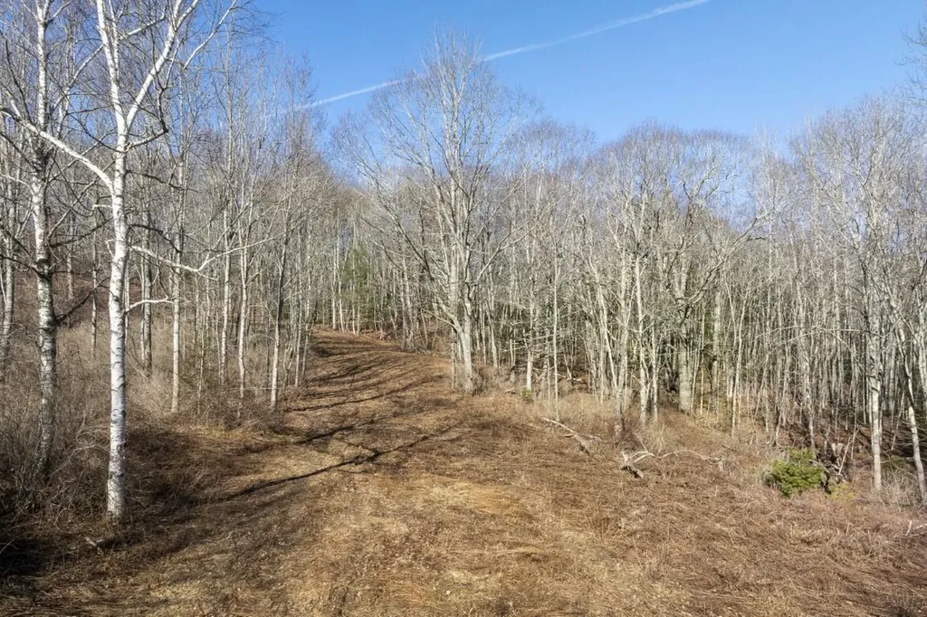 P/o Lot 38 River Road Edgecomb ME 04556