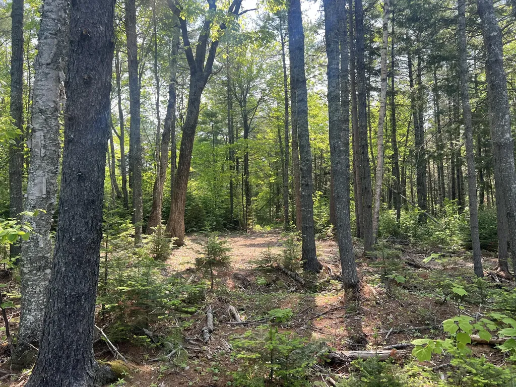 5 Taylor Woods Road Waltham ME 04605